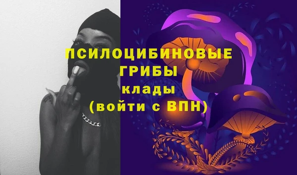 шишки Абдулино