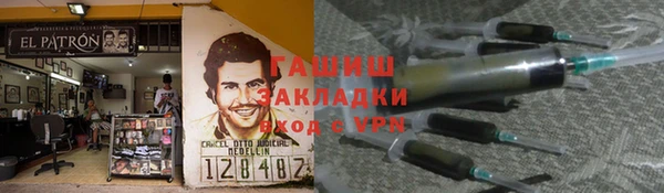 шишки Покачи