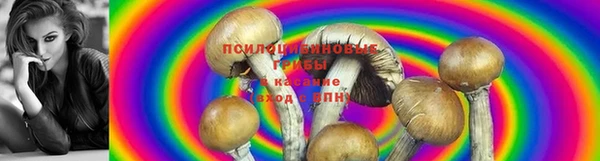 каннабис Абинск