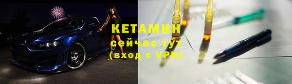 шишки Покачи