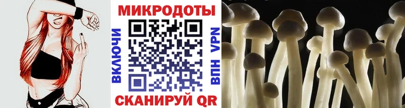 Псилоцибиновые грибы Magic Shrooms  Холмск 