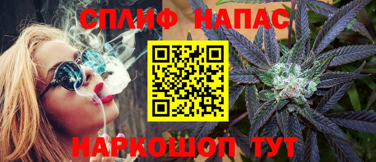Канабис ГИДРОПОН  Конопля OG Kush  Каннабис план  Холмск  Вход с VPN 
